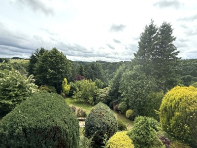 Apartment Haus Panoramablick - Ferienwohnung 2 - Features photo 47