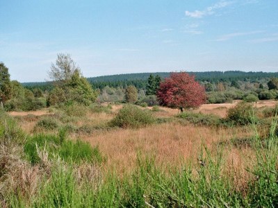 Apartment Haus Panoramablick - Ferienwohnung 2 - Features photo 77