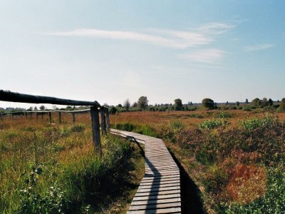 Apartment Haus Panoramablick - Ferienwohnung 2 - Features photo 78