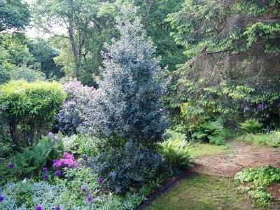 Villa Le Chalet de vasterival - Outdoor photo 10