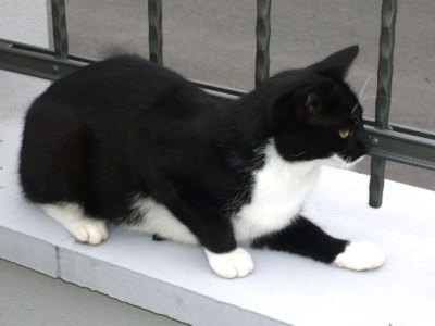 Holiday apartment Pummpälzhof - Environment photo 20