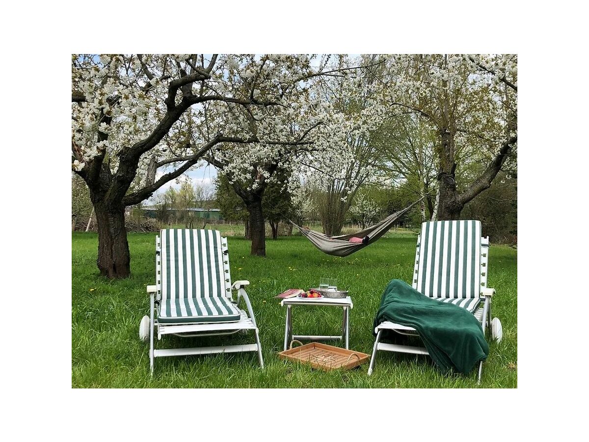 Holiday house Auszeit - Haus am See, Ferienhaus - Outdoor photo 4