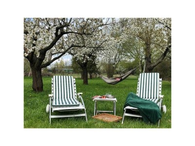 Holiday house Auszeit - Haus am See, Ferienhaus - Outdoor photo 4