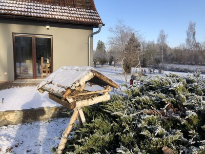 Holiday house Auszeit - Haus am See, Ferienhaus - Outdoor photo 6