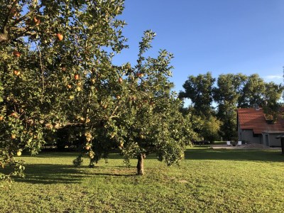 Holiday house Auszeit - Haus am See, Ferienhaus - Outdoor photo 8