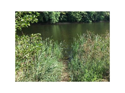 Holiday house Auszeit - Haus am See, Ferienhaus - Environment photo 29