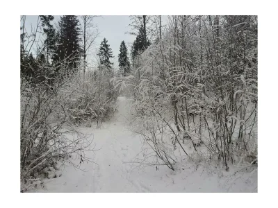 Apartment Ferienhaus, Toilette und Bad/Dusche getrennt, 3 Sc - Outdoor photo 14