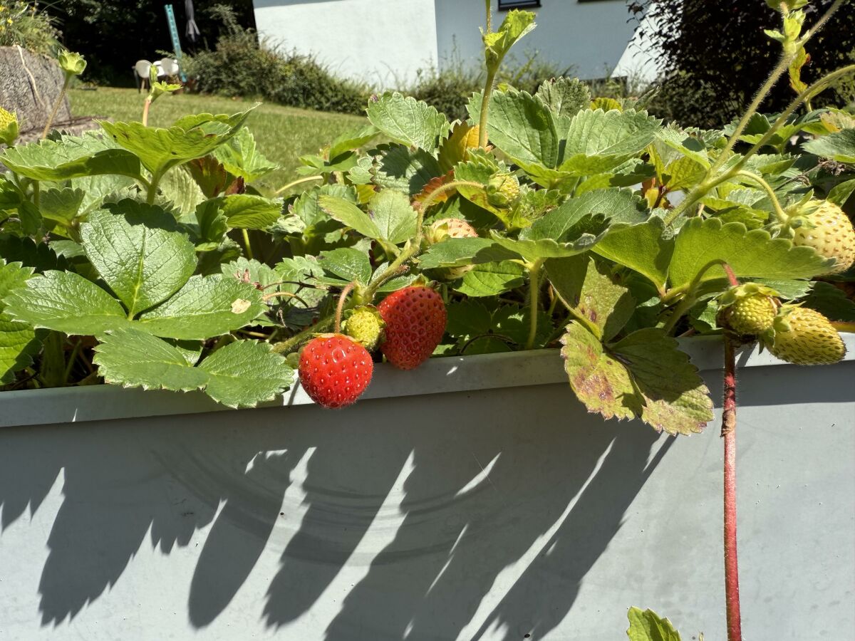 Apartment Appartement/Fewo, Dusche, WC, 2 Schlafräume - Outdoor photo 3