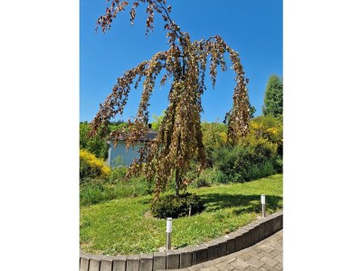 Apartment Appartement/Fewo, Dusche, WC, 2 Schlafräume - Outdoor photo 7