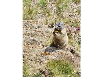 Apartment Wohnung F - Outdoor photo 10