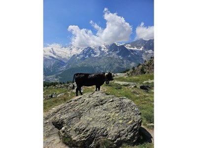 Apartment Wohnung F - Outdoor photo 12