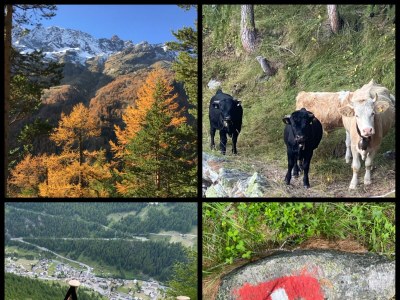 Apartment 6-Bettwohnung - Outdoor photo 2