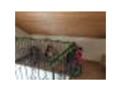 Holiday house Family home Dolve Three Bedroom Apartment - Features photo 16