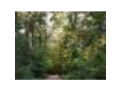 Holiday house Family home Dolve Three Bedroom Apartment - Environment photo 21