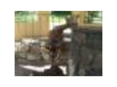 Holiday house Family home Dolve Three Bedroom Apartment - Environment photo 30