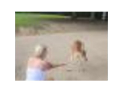 Holiday house Family home Dolve Three Bedroom Apartment - Environment photo 50