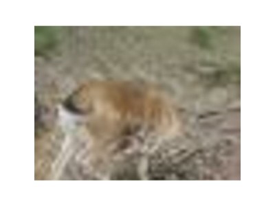 Holiday house Family home Dolve Three Bedroom Apartment - Environment photo 51