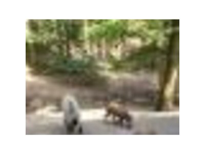 Holiday house Family home Dolve Three Bedroom Apartment - Environment photo 52