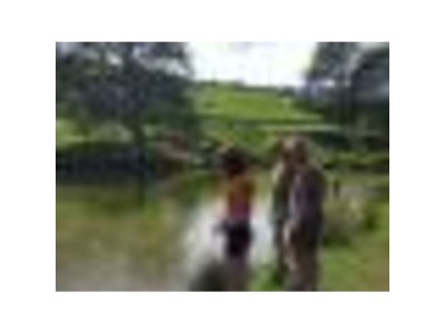 Holiday house Family home Dolve Three Bedroom Apartment - Environment photo 53