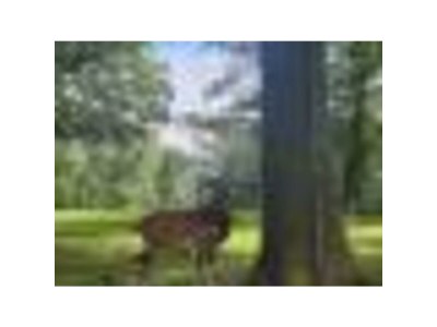 Holiday house Family home Dolve Three Bedroom Apartment - Environment photo 55