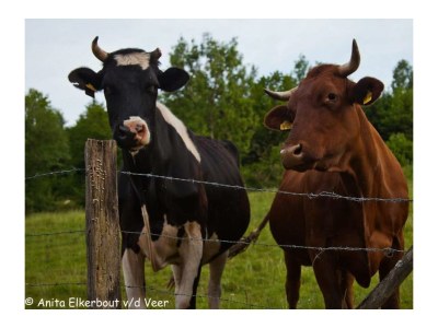 Holiday house Family home Dolve three-room apartment - Environment photo 31