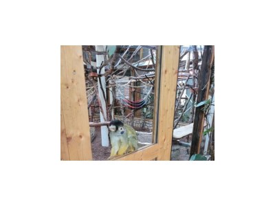 Holiday house Family home Dolve three-room apartment - Environment photo 39