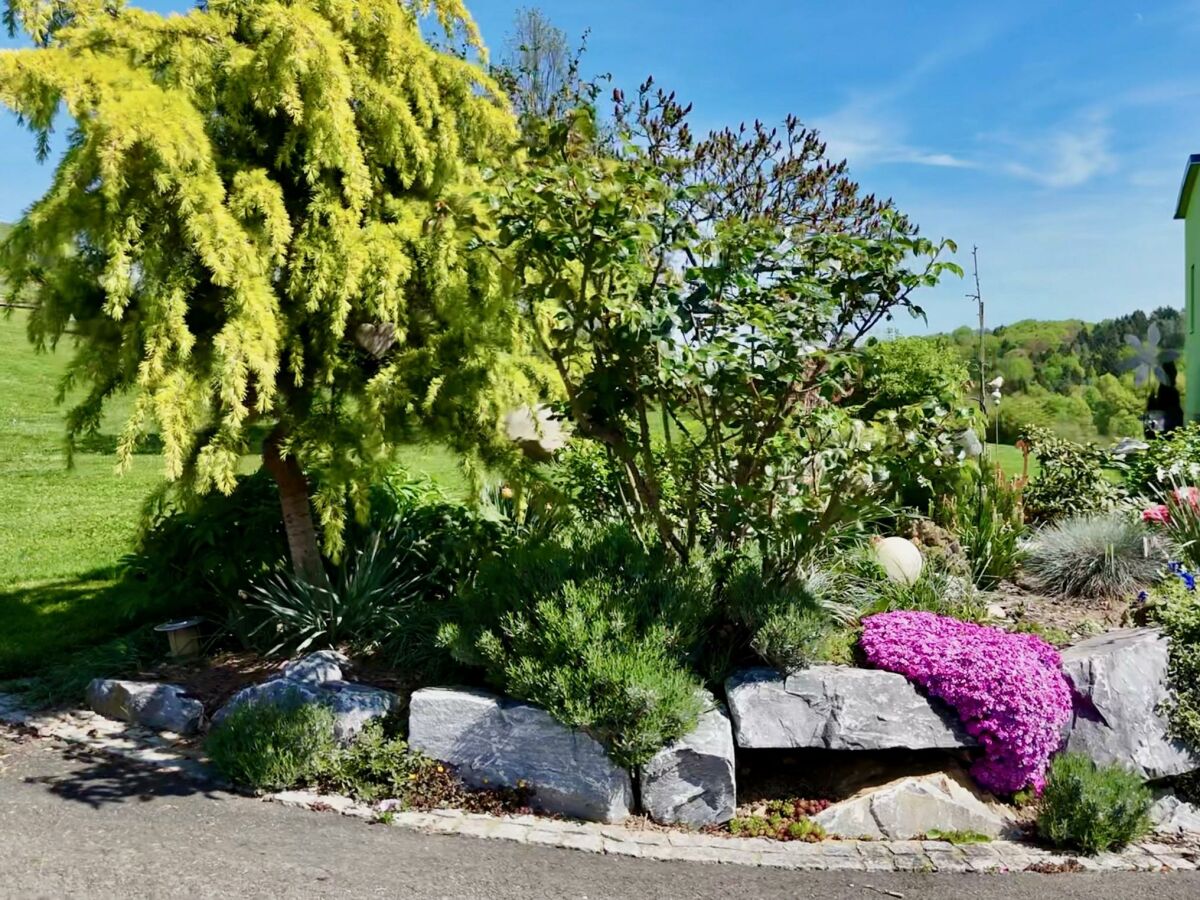 Apartment Appartement Sissi