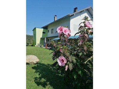 Apartment Appartement Sissi - Outdoor photo 12