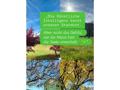 Apartment Appartement Sissi - Outdoor photo 15