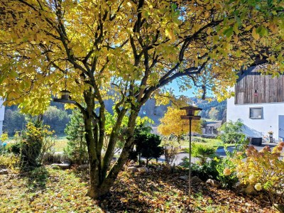 Apartment Appartement Sissi - Outdoor photo 16