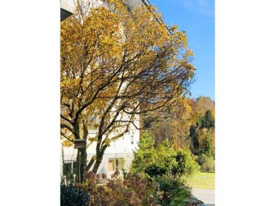 Apartment Appartement Sissi - Outdoor photo 18