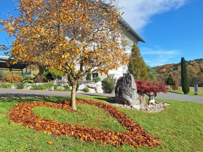 Apartment Appartement Sissi - Outdoor photo 19
