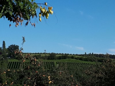Apartment Ferienhaus Bad Waltersdorf im Biodorf - Outdoor photo 15