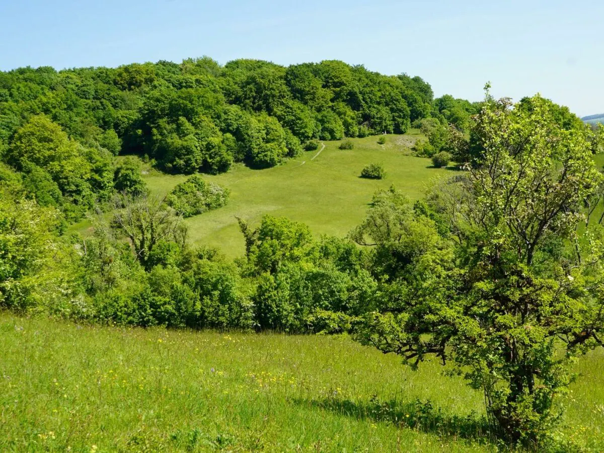 Apartment Appartement/Fewo, Dusche und Bad, WC, 2 Schlafräum - Outdoor photo 2