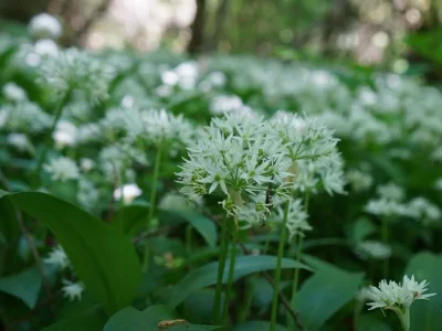 Apartment Appartement/Fewo, Dusche und Bad, WC, 2 Schlafräum - Outdoor photo 3