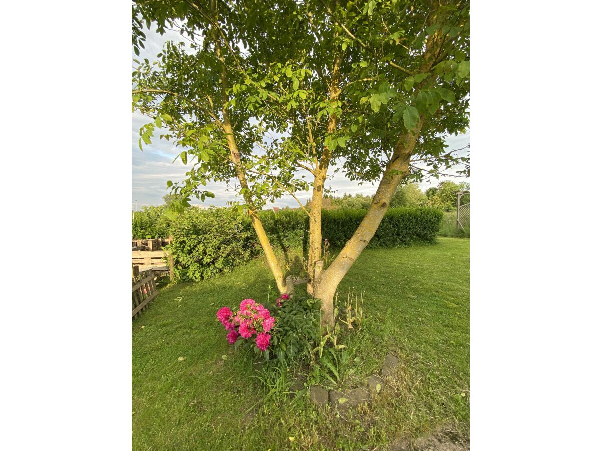 Apartment Appartement/Fewo, Dusche, WC, 1 Schlafraum - Outdoor photo 5