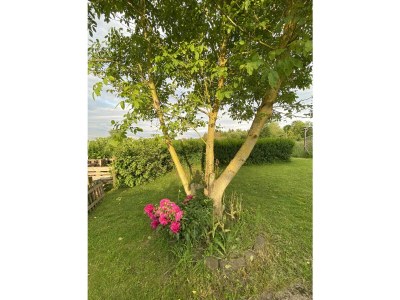 Apartment Appartement/Fewo, Dusche, WC, 1 Schlafraum - Outdoor photo 5