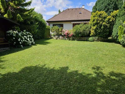 Apartment Haus am Schlosspark in Eisenstadt - Apartment