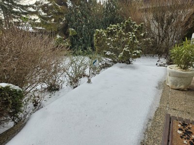 Apartment Haus am Schlosspark - Outdoor photo 8