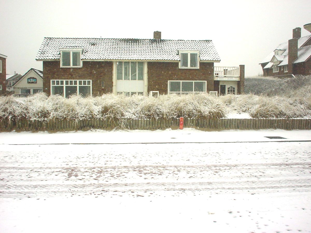 Holiday house Pacific Ocean View - Outdoor photo 3