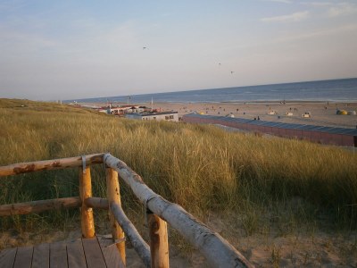 Holiday house Pacific Ocean View - Environment photo 24