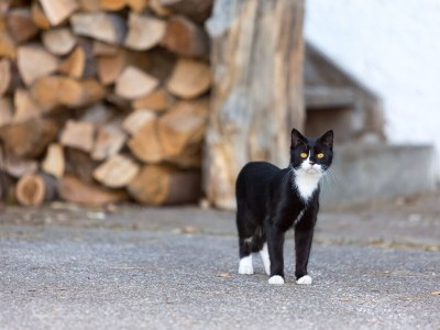 Holiday apartment No title - Environment photo 13