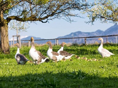 Holiday apartment No title - Environment photo 14