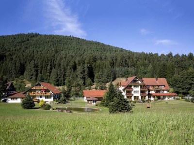 Apartment Wohnung Typ C 41 in Baiersbronn - Apartment