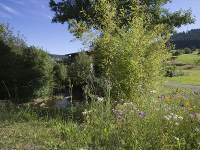 Apartment Wohnung Typ C 41 - Outdoor photo 6