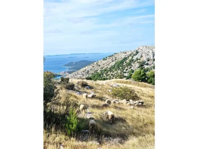 Holiday house No title - Environment photo 22