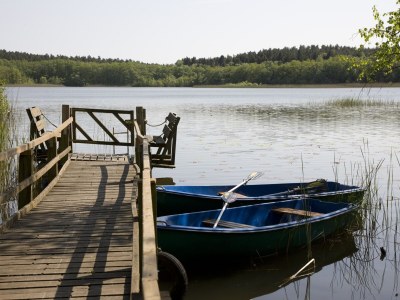 Cottage Landhaus Helga - Outdoor photo 7