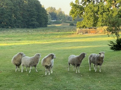 Cottage Landhaus Helga - Environment photo 28