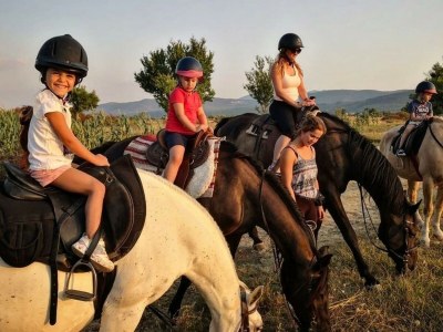 Villa Villa I&N with saltwater pool and whirlpool - Environment photo 44