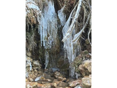 Holiday apartment No title - Environment photo 16